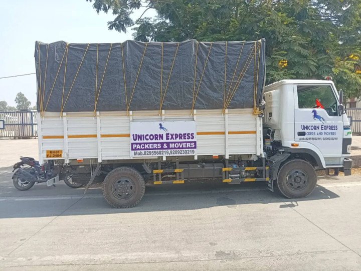 Difference Between Professional Packers and Movers and Basic Moving Service